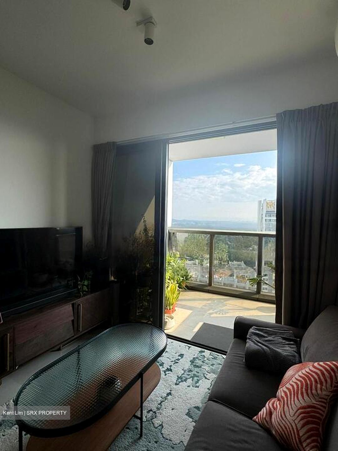 Commonwealth Towers (D3), Condominium #481846301